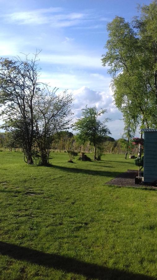 Hopgarden Glamping - Luxury 6M Bell Tent Wadhurst Extérieur photo