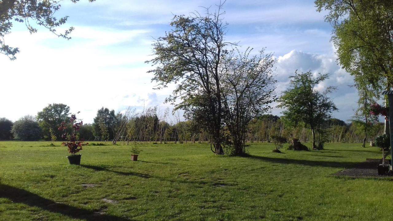 Hopgarden Glamping - Luxury 6M Bell Tent Wadhurst Extérieur photo