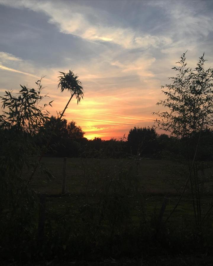 Hopgarden Glamping - Luxury 6M Bell Tent Wadhurst Extérieur photo