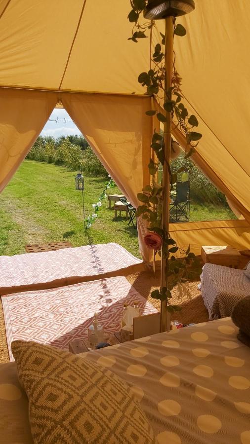Hopgarden Glamping - Luxury 6M Bell Tent Wadhurst Extérieur photo
